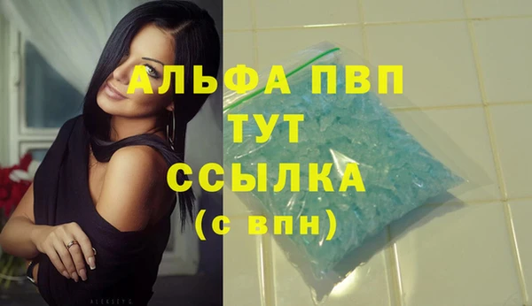 PSILOCYBIN Верхний Тагил
