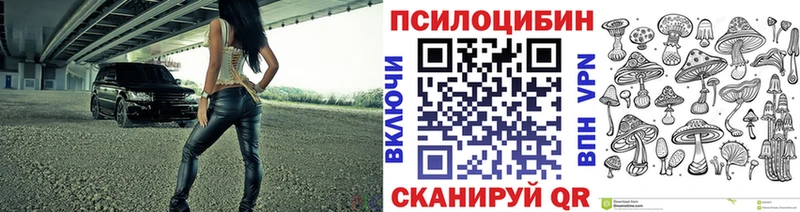 сколько стоит  omg ONION  Псилоцибиновые грибы Psilocybine cubensis  Павловский Посад 
