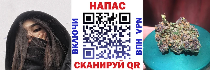 Каннабис Bruce Banner Павловский Посад